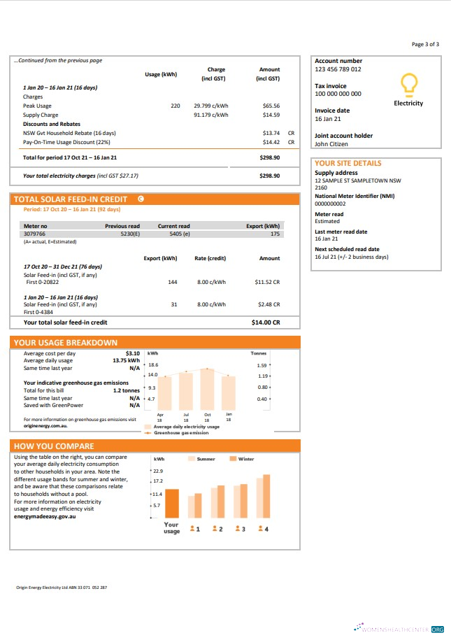 Australia New South Wales (NSW) Origin electricity utility bill template in Word and PDF format 3